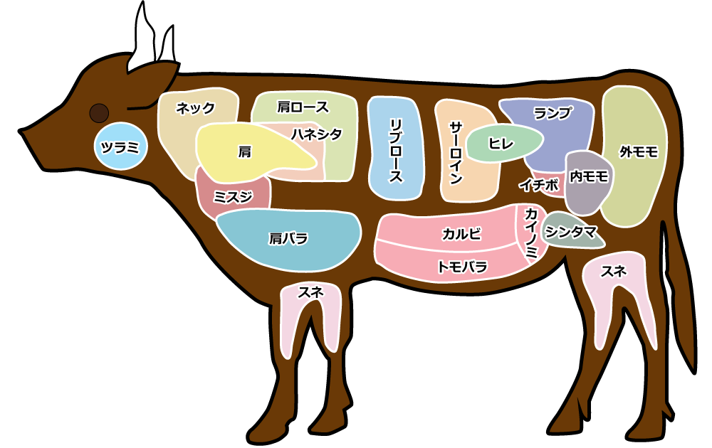 牛肉（精肉）の部位